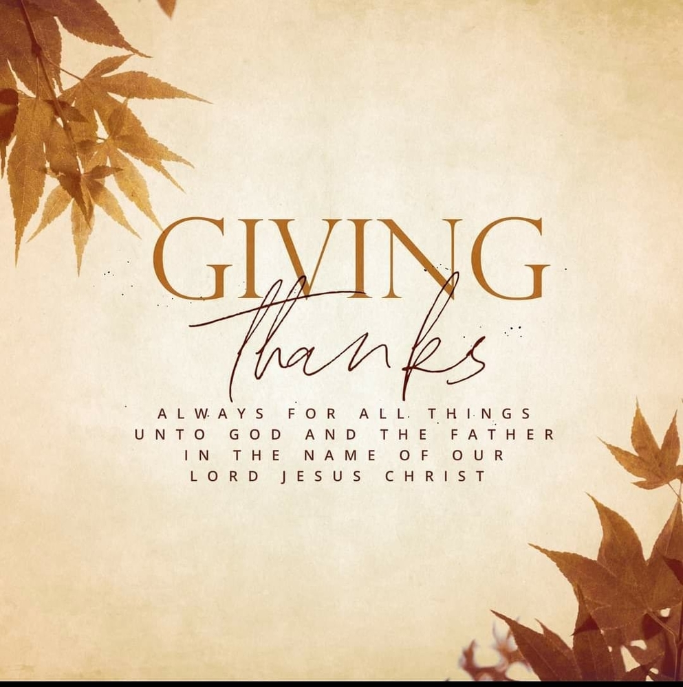 Meet your Posher, Rosiane